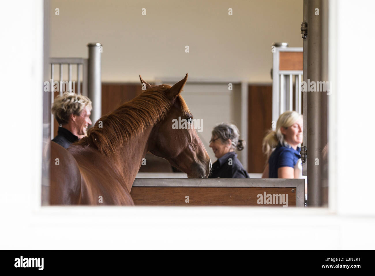 New stable hi-res stock photography and images - Alamy