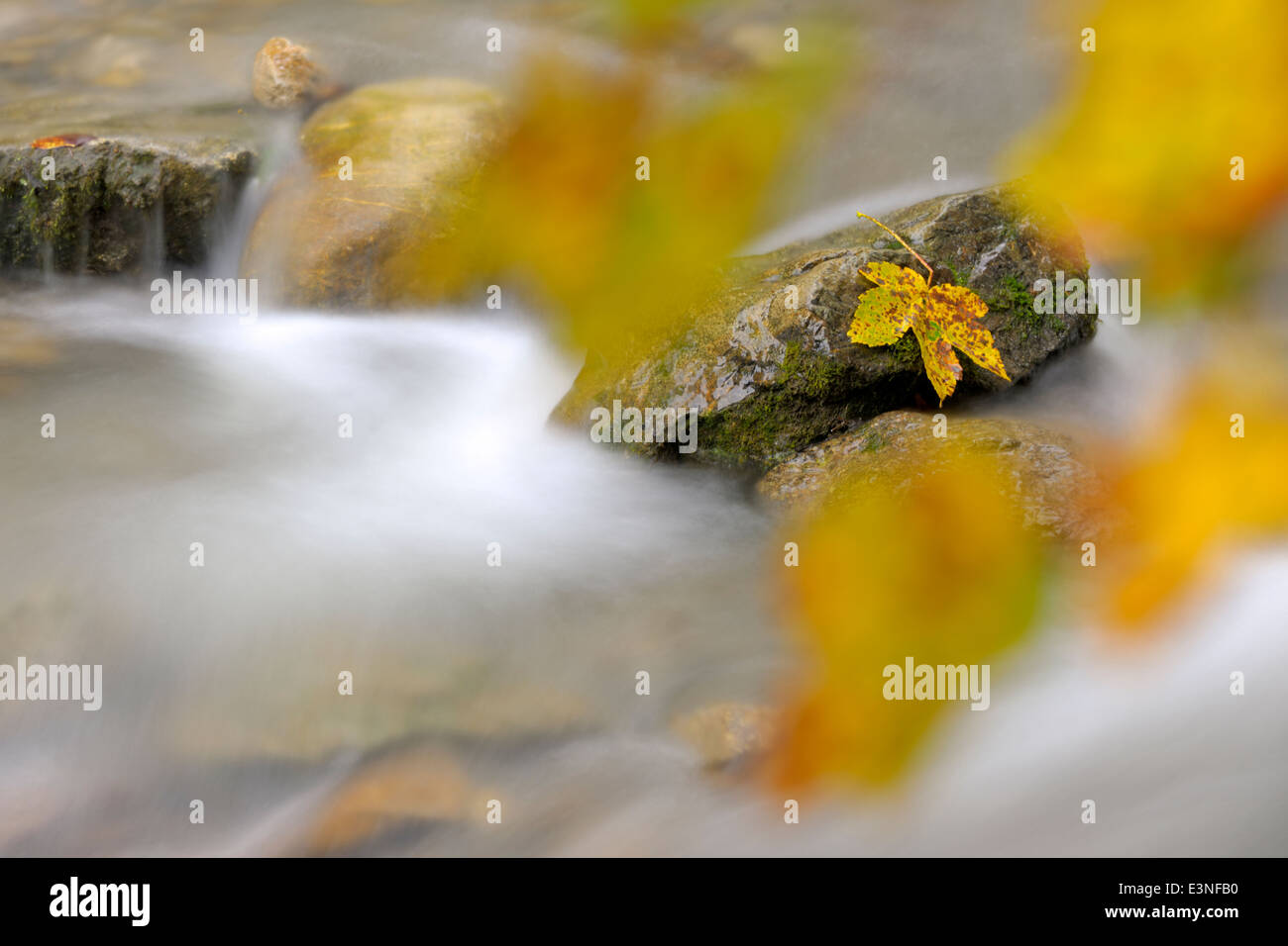 Mountainstream with autumn leave and slow shutter speed and out of focus leaves in foreground. Stock Photo