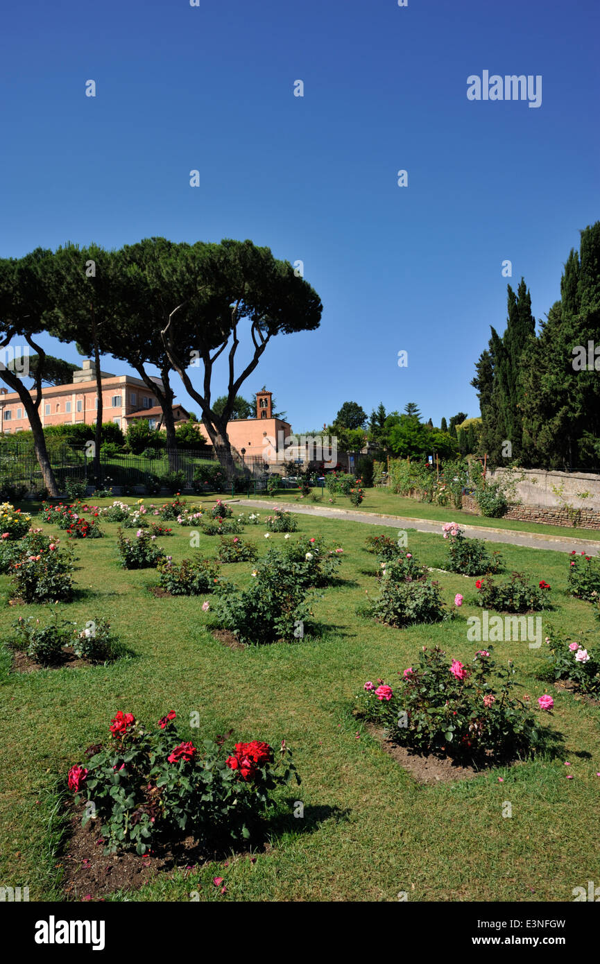 Italy, Rome, Aventino, Roseto Comunale, municipal rose garden Stock Photo