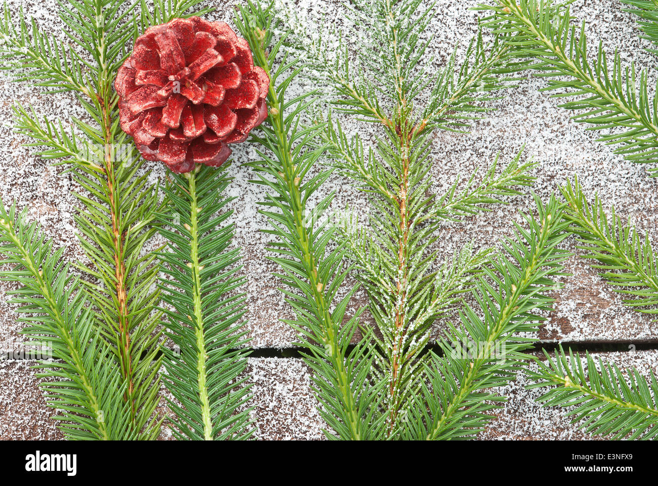 New Year holidays and Christmas green spruce branches with painted ...