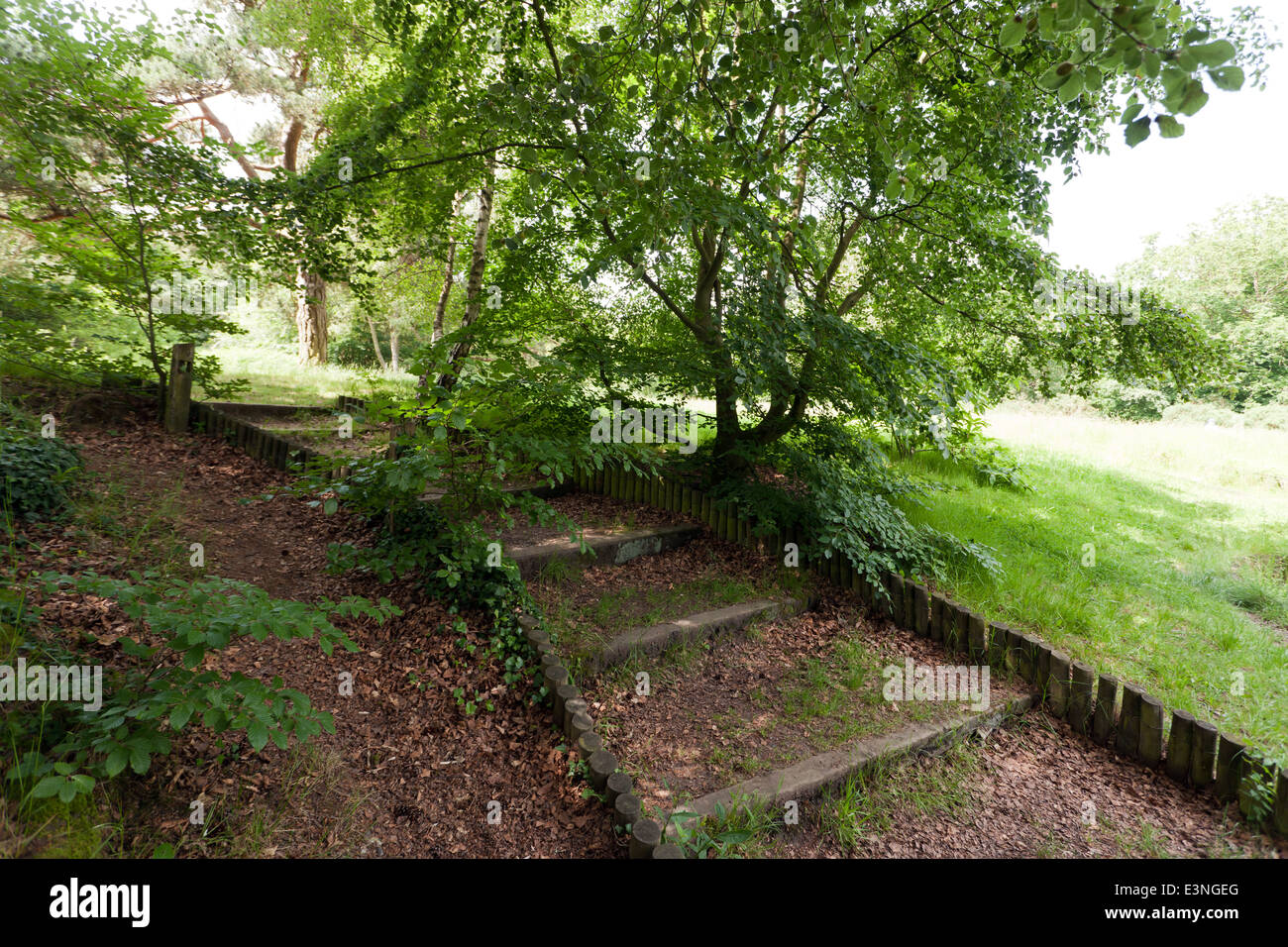 Walking track around Keston Ponds, Kent Stock Photo Alamy
