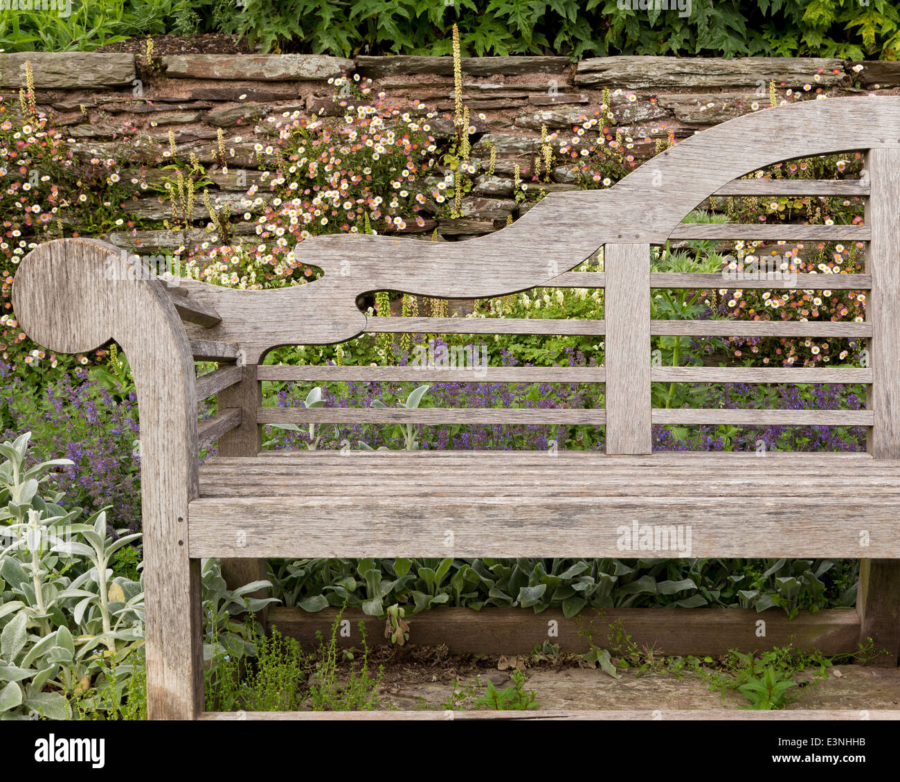 Ornate wooden garden bench in front of stone wall covered with daisies at  Hestercombe Gardens Stock Photo - Alamy