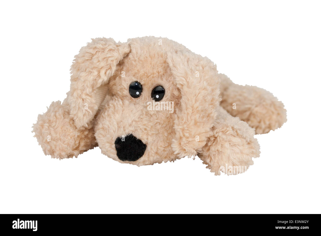 Stofftier Hund Stock Photo