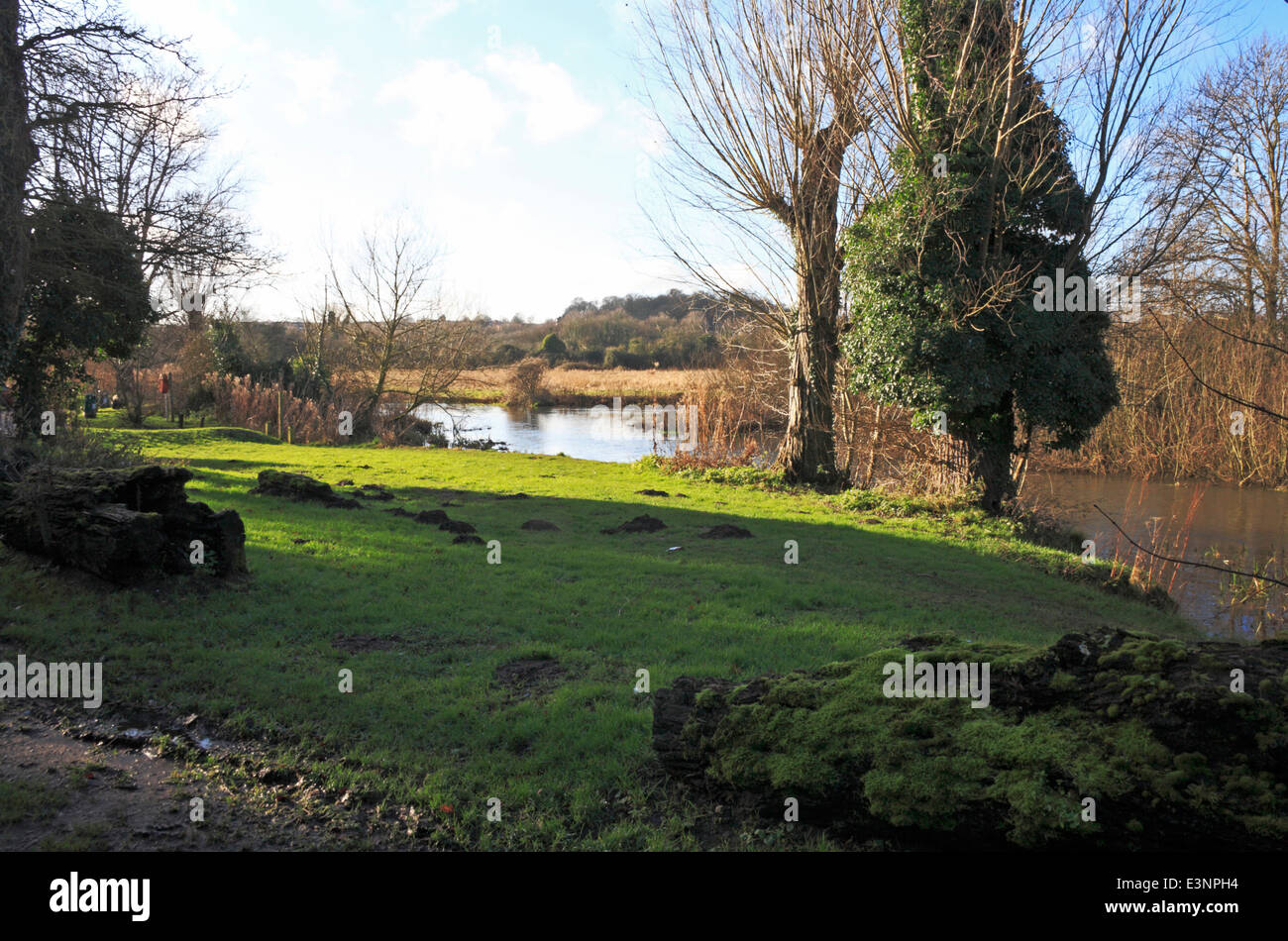 A view of the River Wensum and flood plain at Hellesdon, Norwich ...