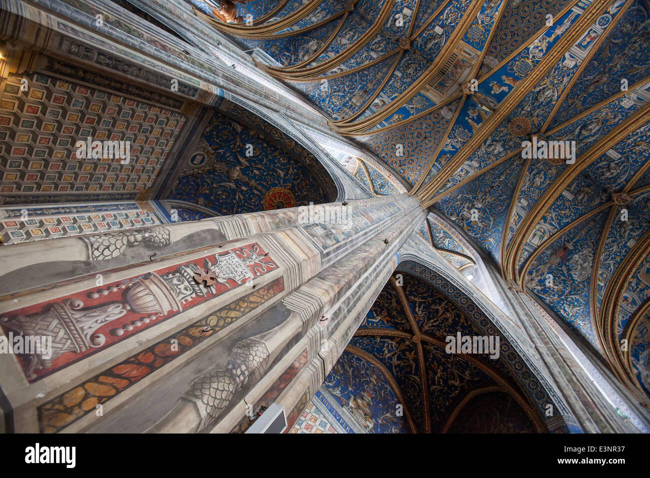 Painted Ceiling in Cathedrale Sainte Cecile Stock Photo
