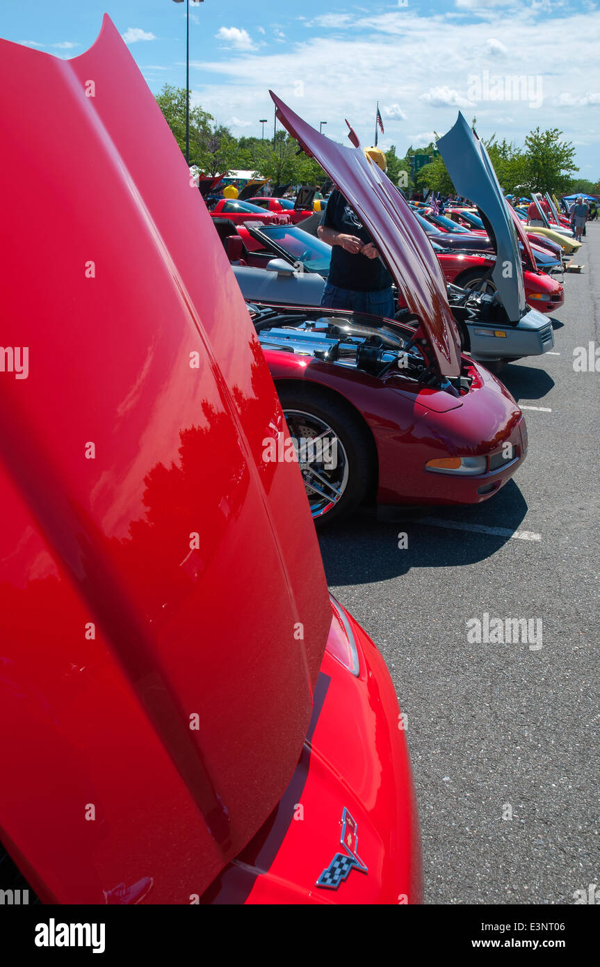 Cars lined up before opening Auto Show Corvette, Philadelphia , PA, USA, North America Stock Photo