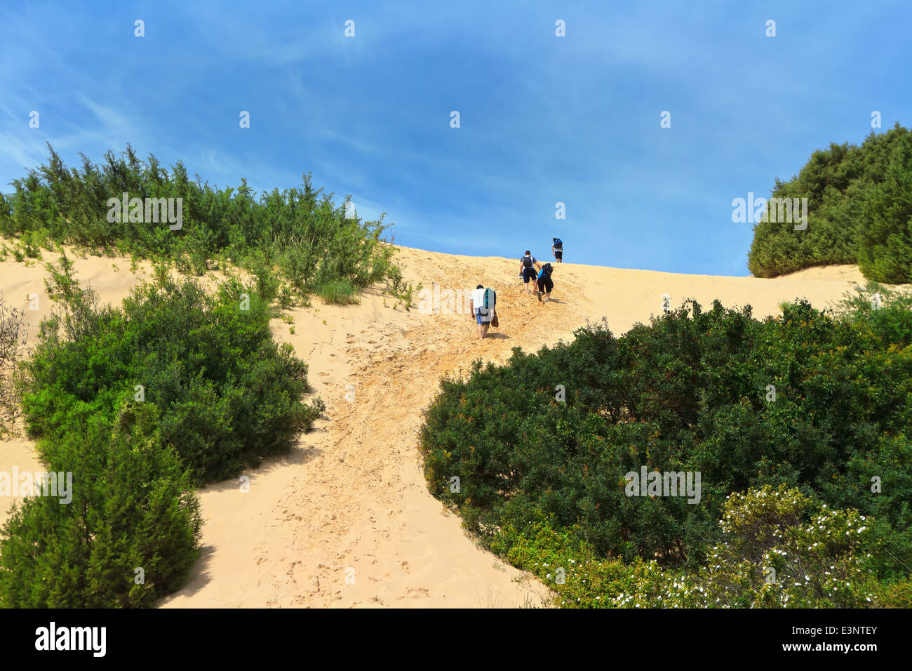 tourists in Piscinas dune in Costa Verde, southwest Sardinia, Italy Stock Photo