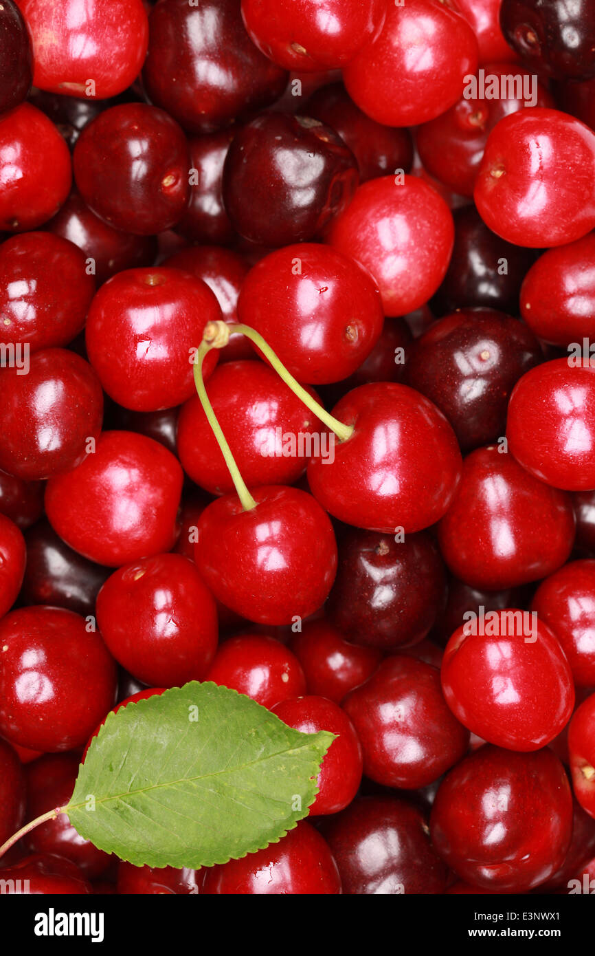 Group of fresh cherries forming a background Stock Photo