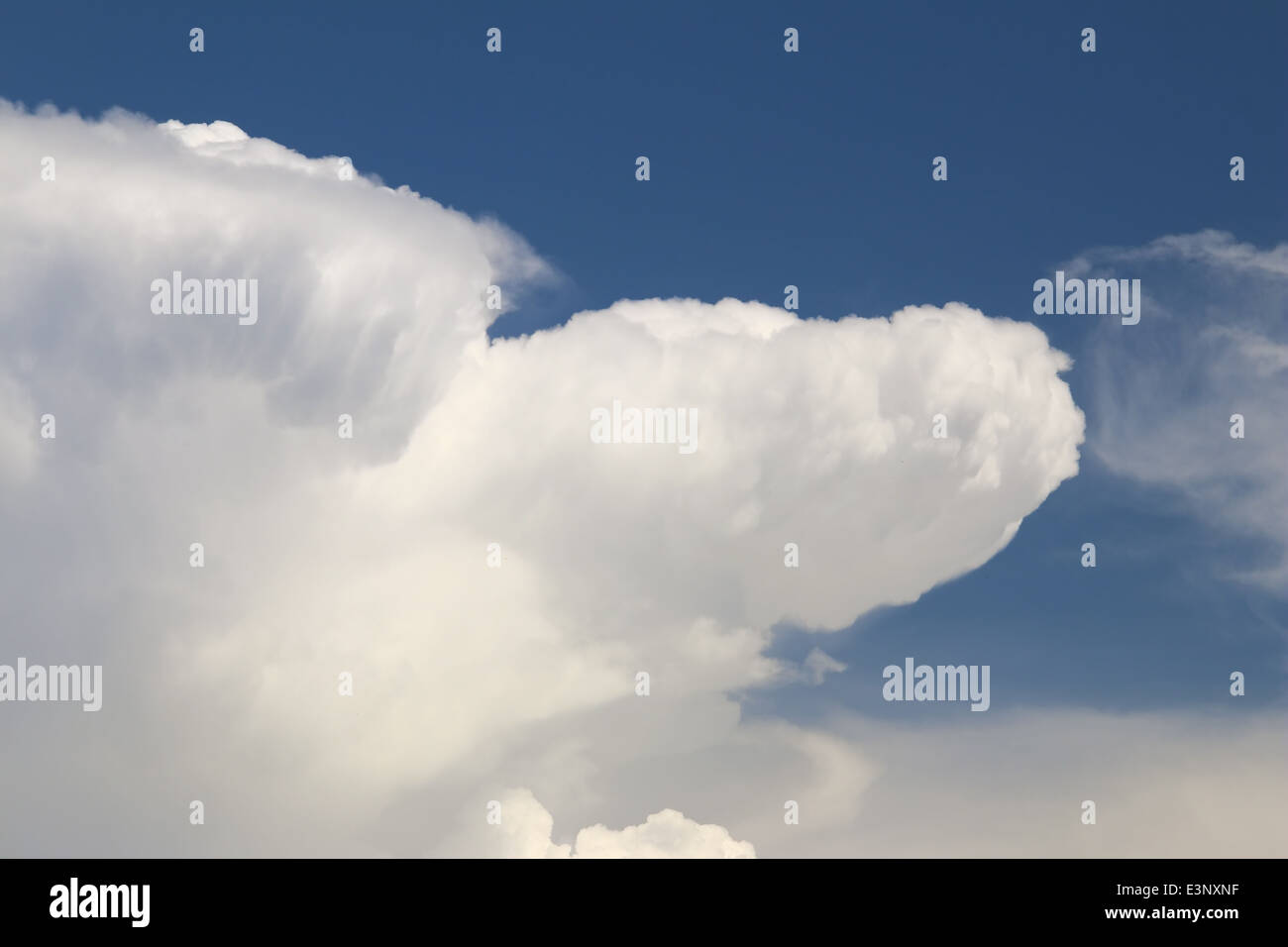 Cumulus thundercloud, diagram - Stock Image - C018/0293 - Science