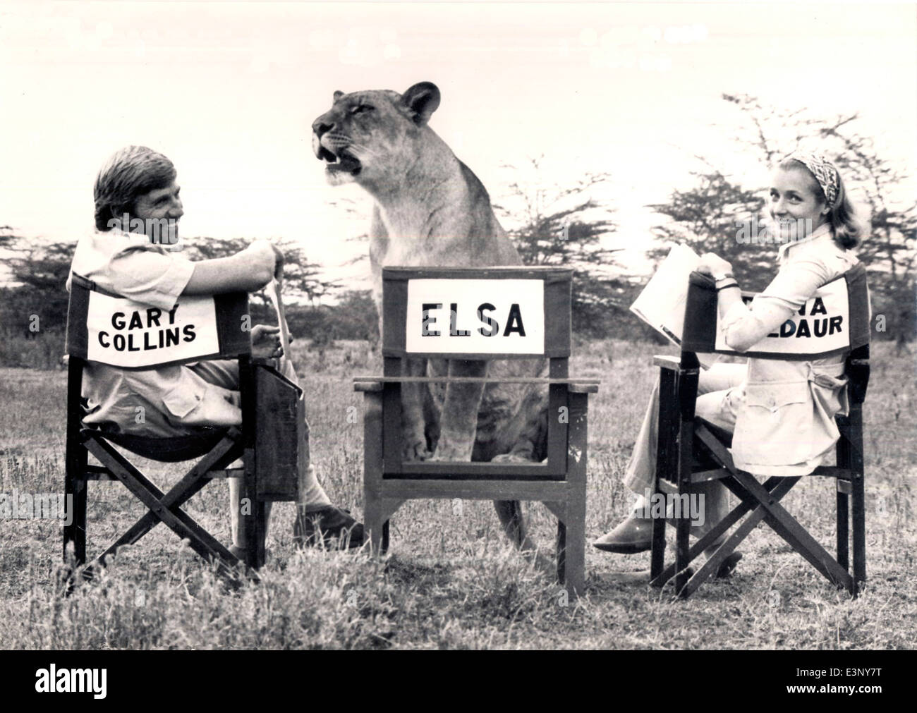 Three stars of  a TV version of 'Born Free', Elsa the lioness, Diana Muldaur as Joy Adamson and Gary Collins as George Adamson Stock Photo