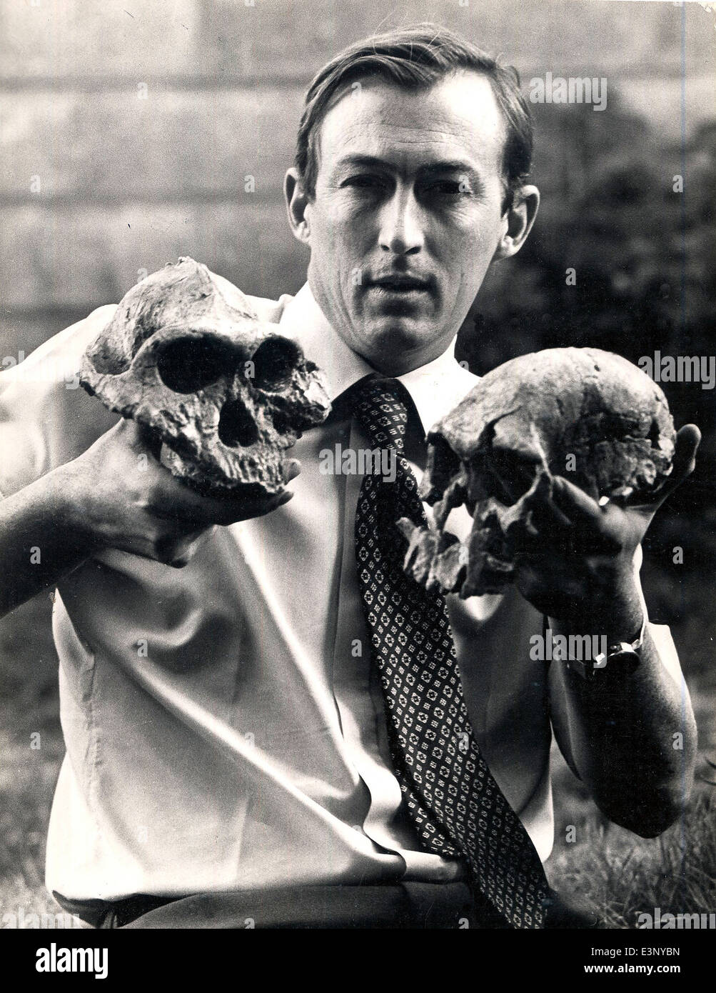 Richard Leakey in 1977 with two crucial skull discoveries--Australopithecus in his right hand and 1470, Homo habilis Stock Photo