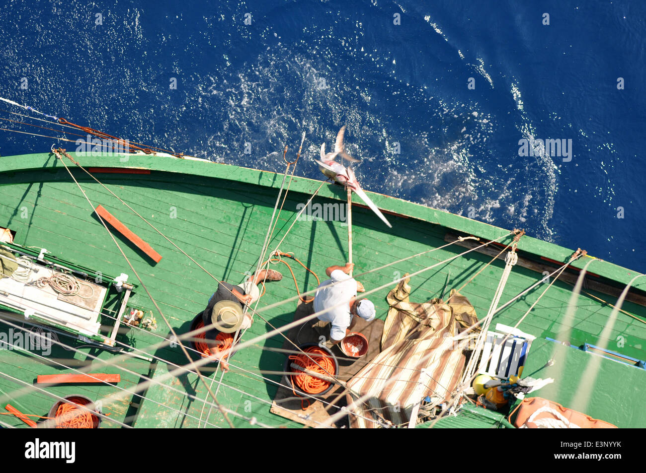 Swordfish Hunting Stock Photos & Swordfish Hunting Stock Images Alamy