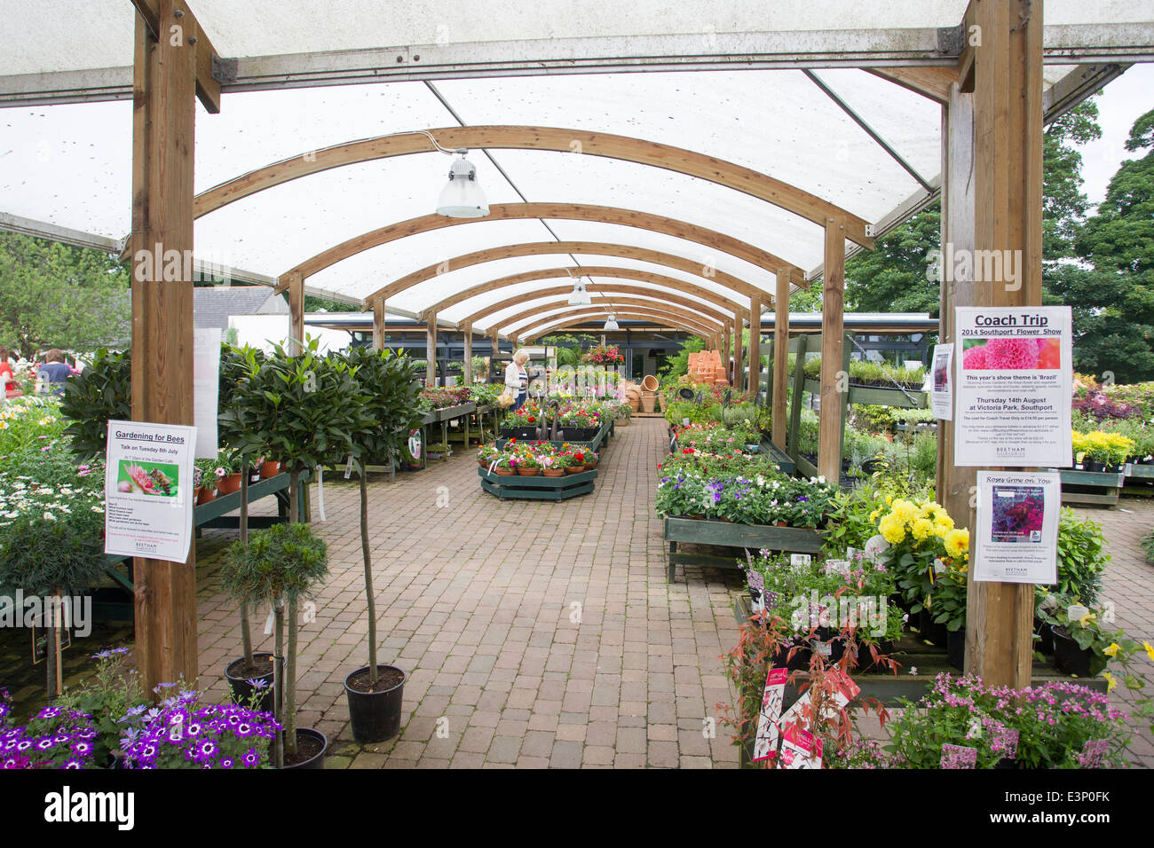Beetham Nurseries garden centre Stock Photo - Alamy