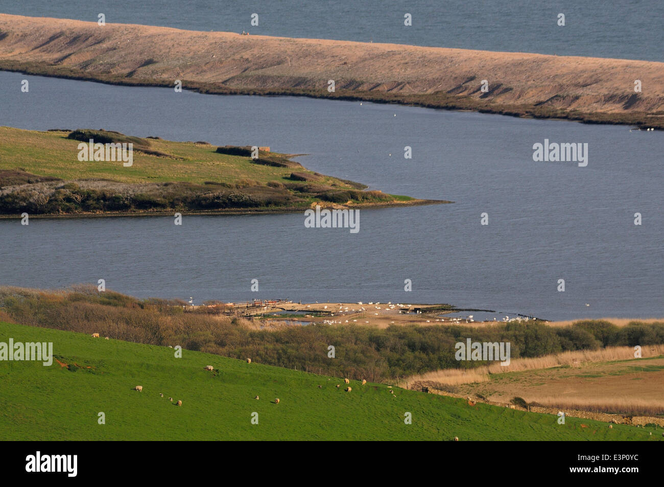 Chesil beach and the fleet lagoon hires stock photography and images