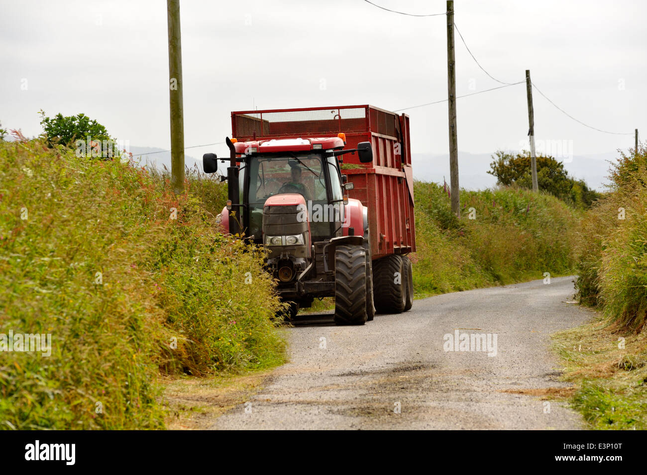 Farm tractor and trailer off on one side of small country lane to allow other vehicles to pass, UK Stock Photo