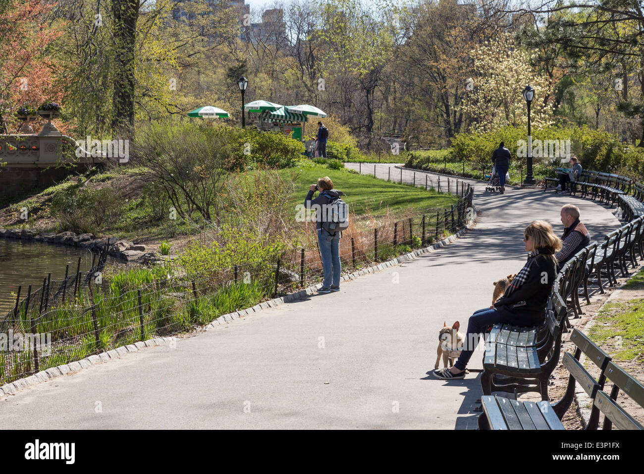 Pathway and Benches in Central Park, NYC, USA Stock Photo Alamy