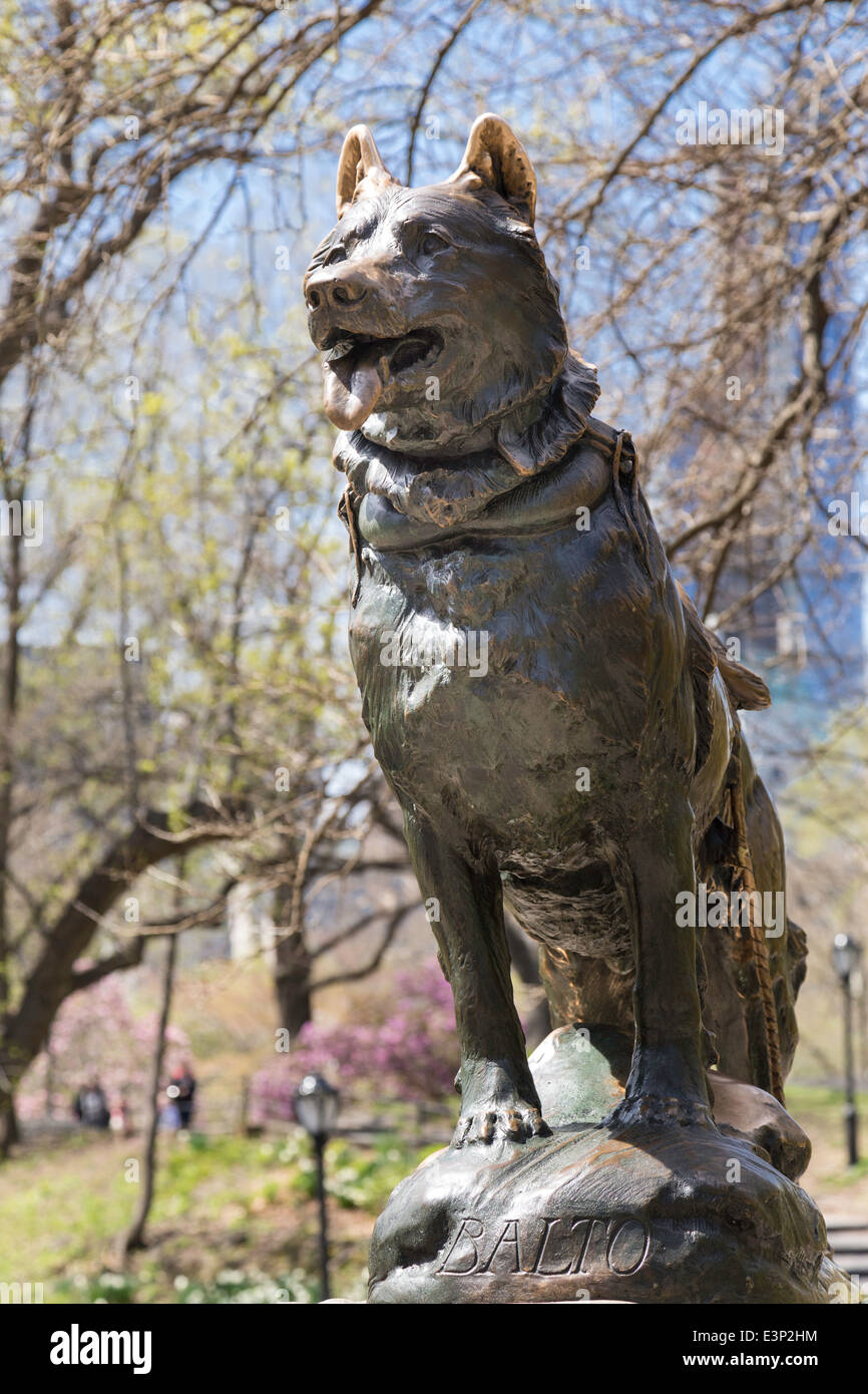 sled dog with statue in central park