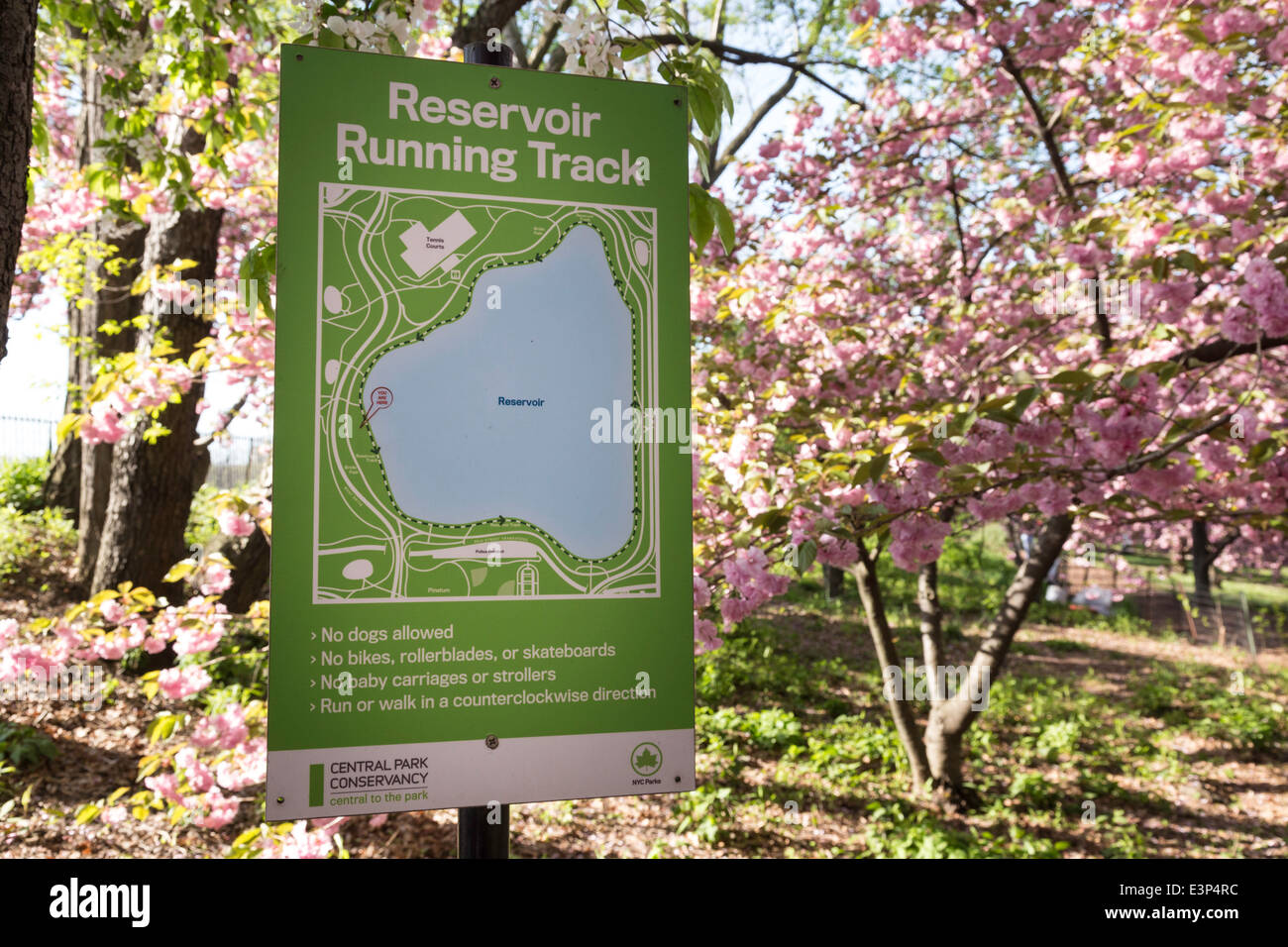 Reservoir Stephanie and Fred Shuman Running Track Sign in Blooming Trees of Springtime, Central park, NYC, USA Stock Photo