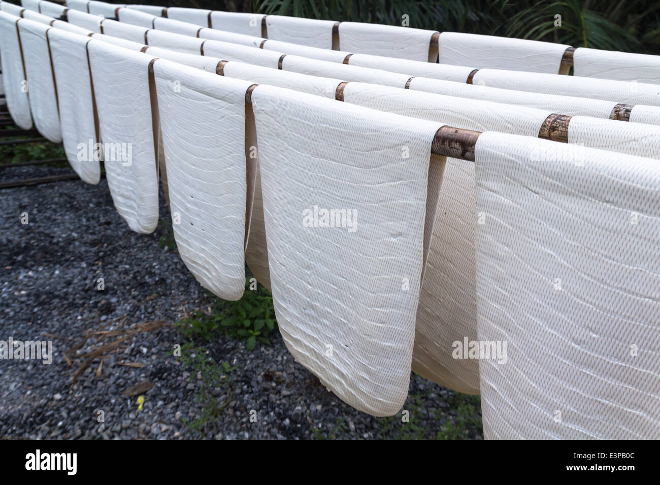 Rubber sheet to dry in southern Thailand Stock Photo Alamy