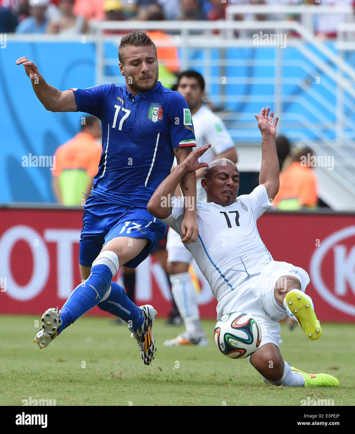 Natal, Brazil. 24th June, 2014. Italy's Ciro Immobile vies for the ball with Uruguay's Egidio Arevalo Rios during a Group D match between Italy and Uruguay of 2014 FIFA World Cup at the Estadio das Dunas Stadium in Natal, Brazil, June 24, 2014. © Guo Yong/Xinhua/Alamy Live News Stock Photo