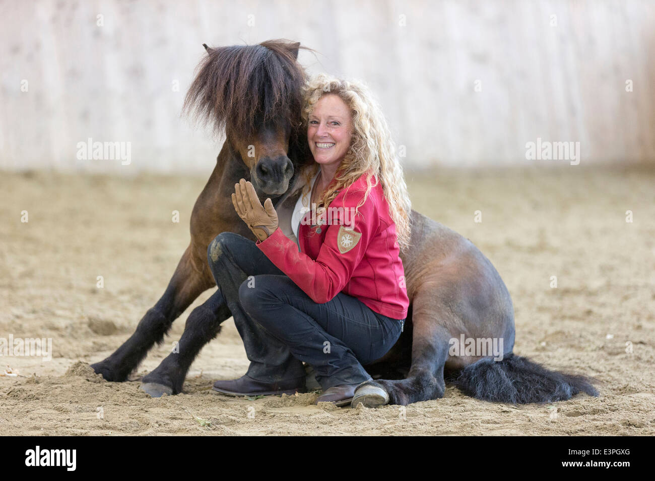 Shetland Pony Woman sitting next bay gelding riding hall Germany Stock Photo