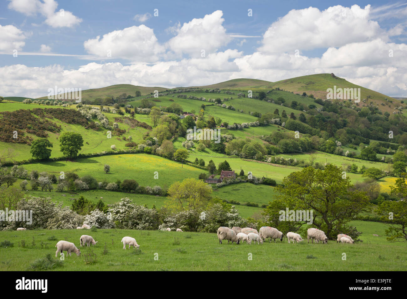 The Hope Bowdler hills near Church Stretton, Shropshire, England, UK