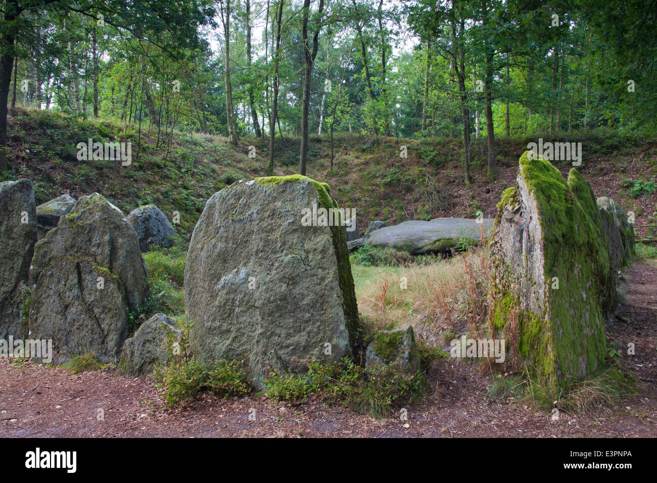 Sieben Steinhaeuser. Neolithic burial mound on the NATO training area of Bergen-Hohne. Lueneburg Heath, Lower Saxony, Germany Stock Photo