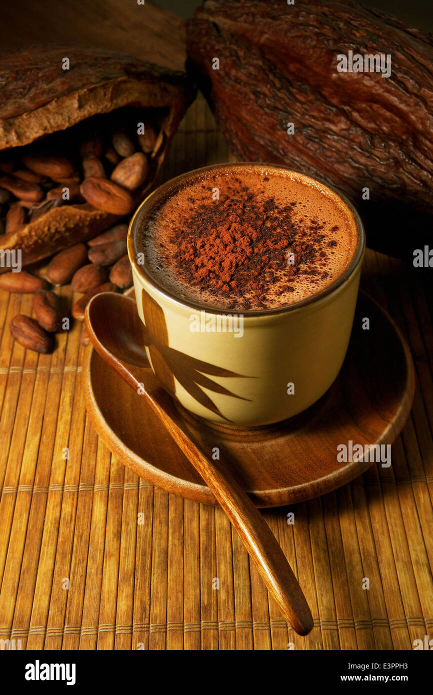 Hot chocolate Cocoa drinking chocolate with natural bean and pod on