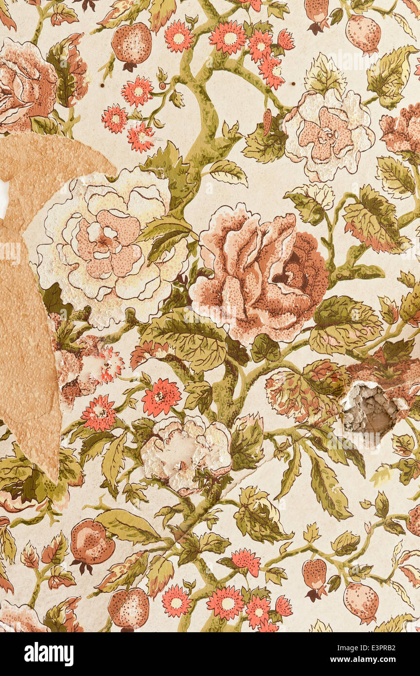 Detail of peeling floral wallpaper Stock Photo
