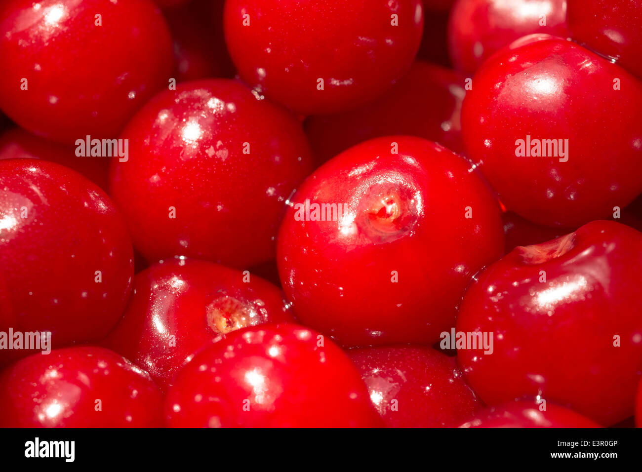 Berry Definition, Types, Examples Britannica, 43 OFF