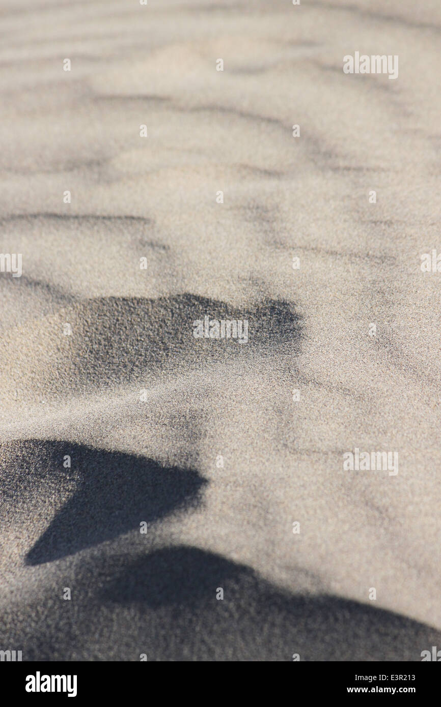 macro of sand in Puerto Del Carmen, Lanzarote Stock Photo