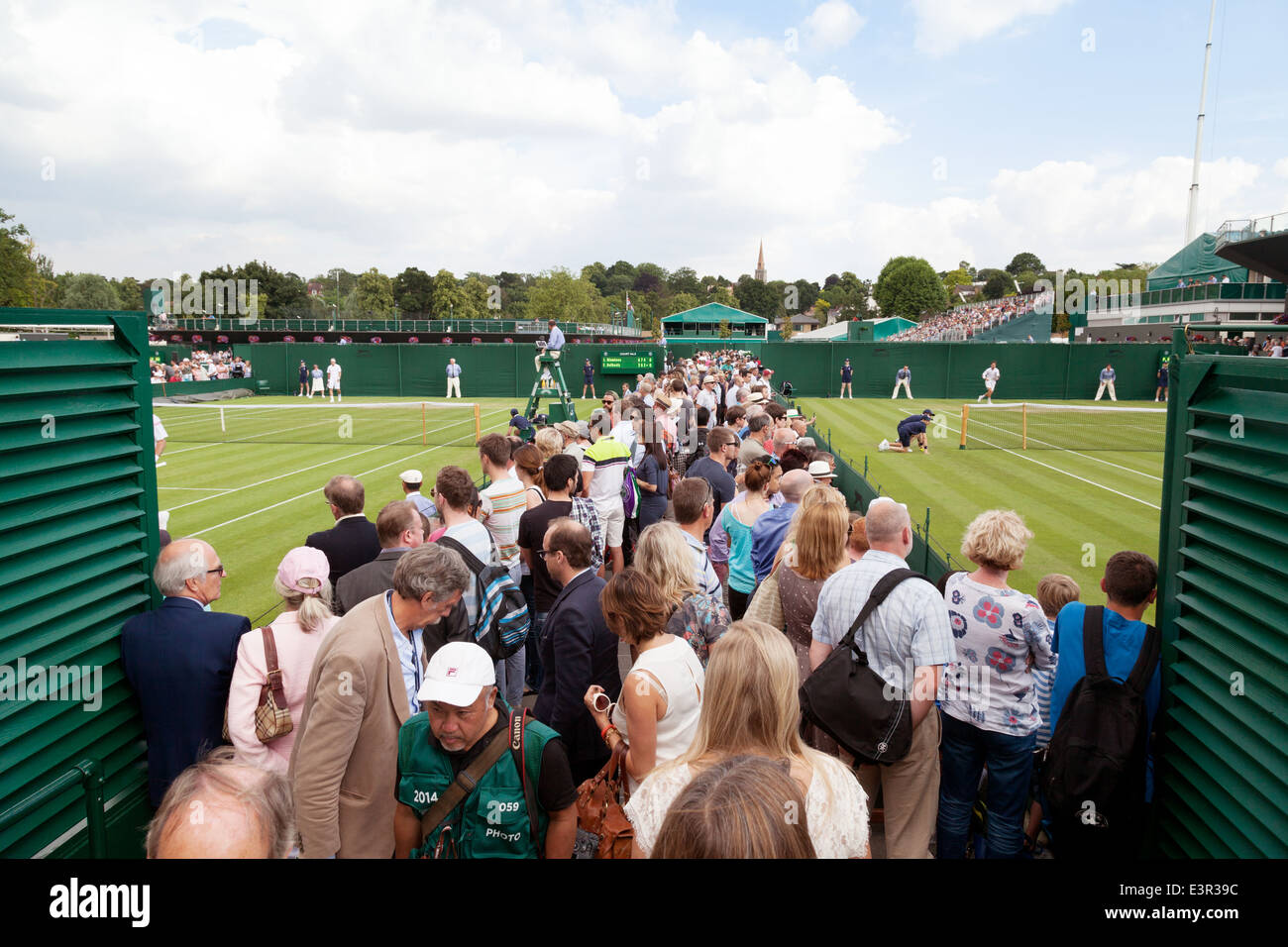 Wimbledon tennis - crowds at the All England Lawn Tennis Championships, June 2014 Stock Photo