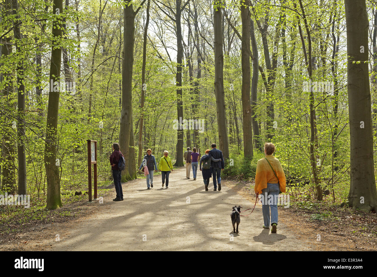 walking to Princes´ Island, Ploen, Schleswig-Holstein, Germany Stock Photo