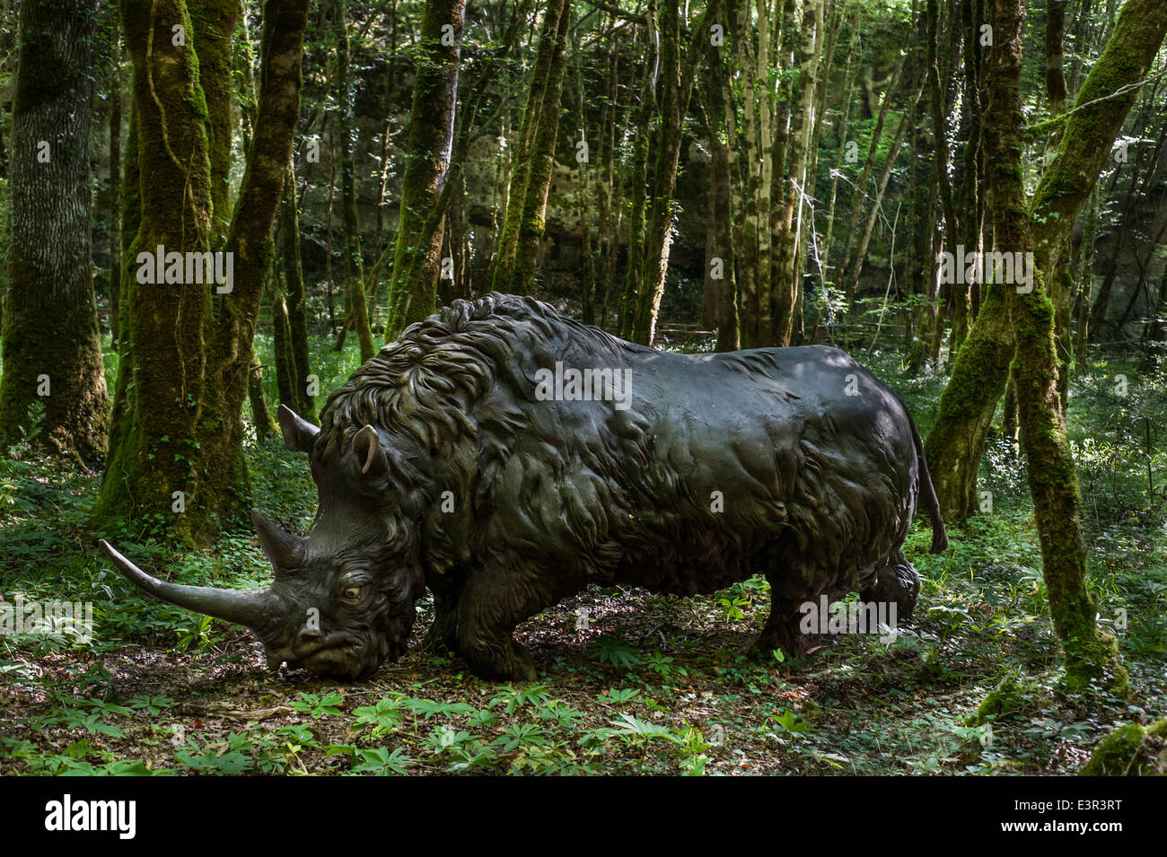 Woolly rhinoceros (Coelodonta antiquitatis) at Prehisto Parc, theme