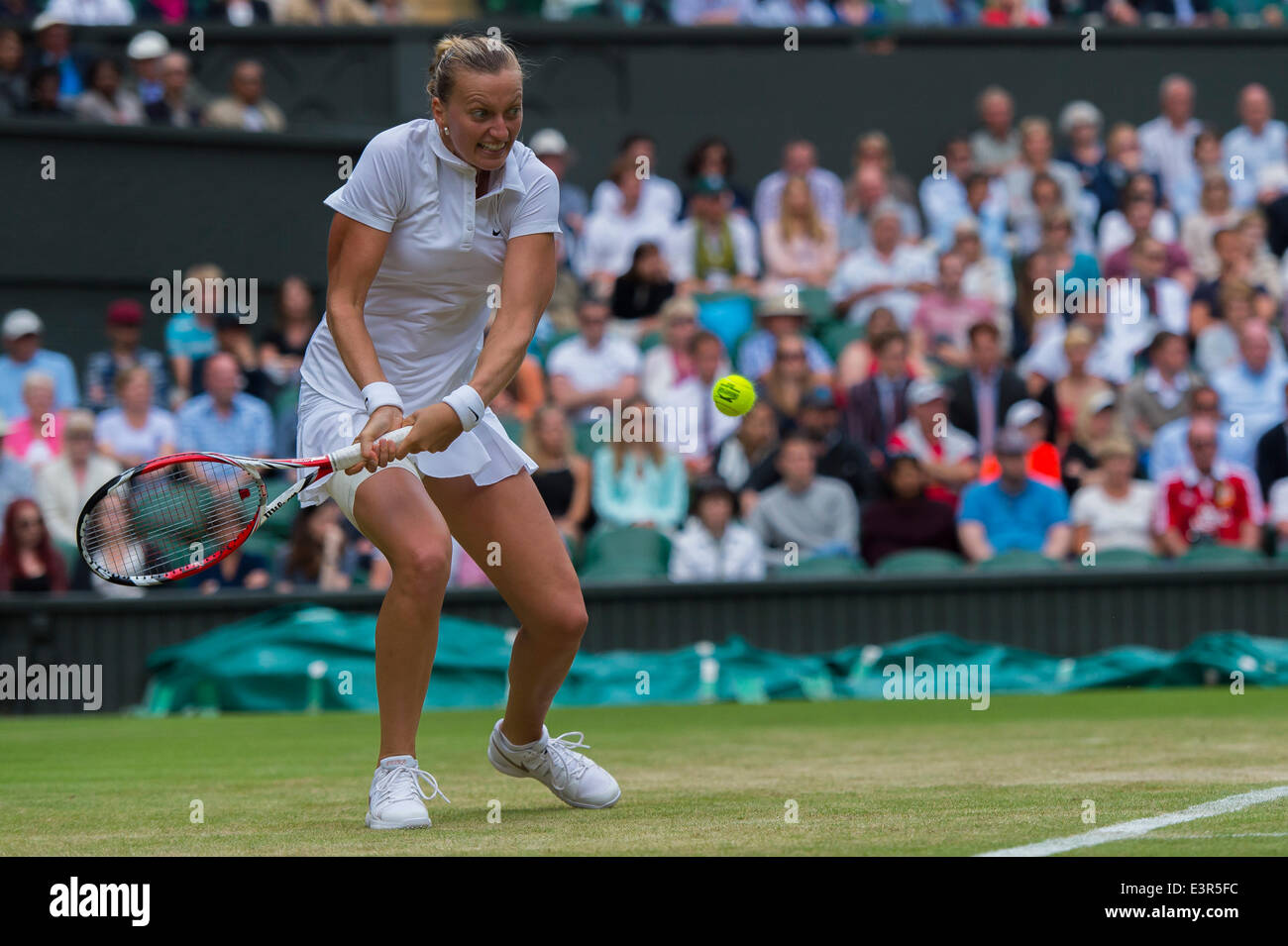 London, UK. 27th June, 2014. Wimbledon Tennis Championships Petra Kvitova of Czech Republic in action against Venus Williams of United States during day five ladies singles third round match at the Wimbledon Tennis Championships at The All England Lawn Tennis Club in London, United Kingdom. Credit:  Action Plus Sports/Alamy Live News Stock Photo