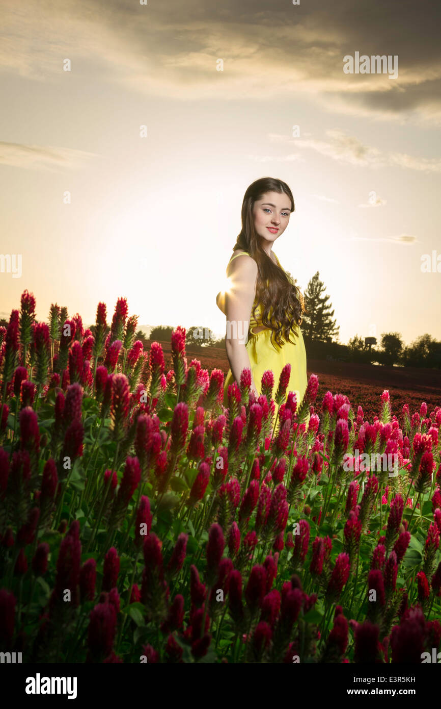 Beautiful young woman posing in a clover field at sunset Stock Photo