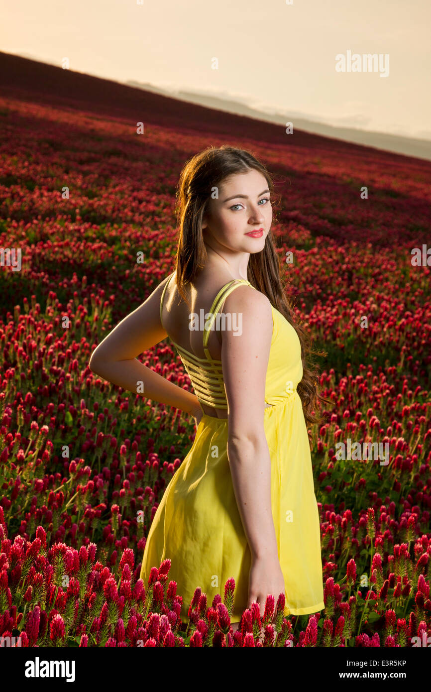 Beautiful young woman posing in a clover field at sunset Stock Photo