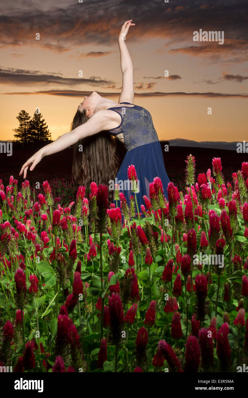 Ballerina dancing in a clover field at sunset Stock Photo