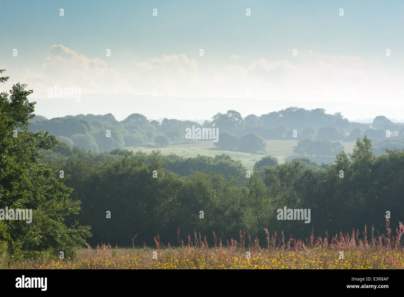 Rural Lancashire Landscape Stock Photo