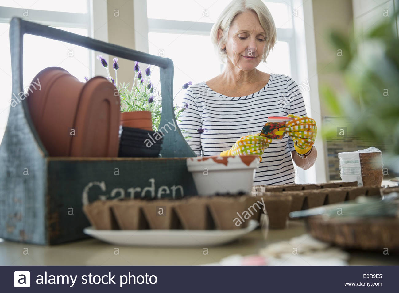 Woman preparing to plant seeds Stock Photo