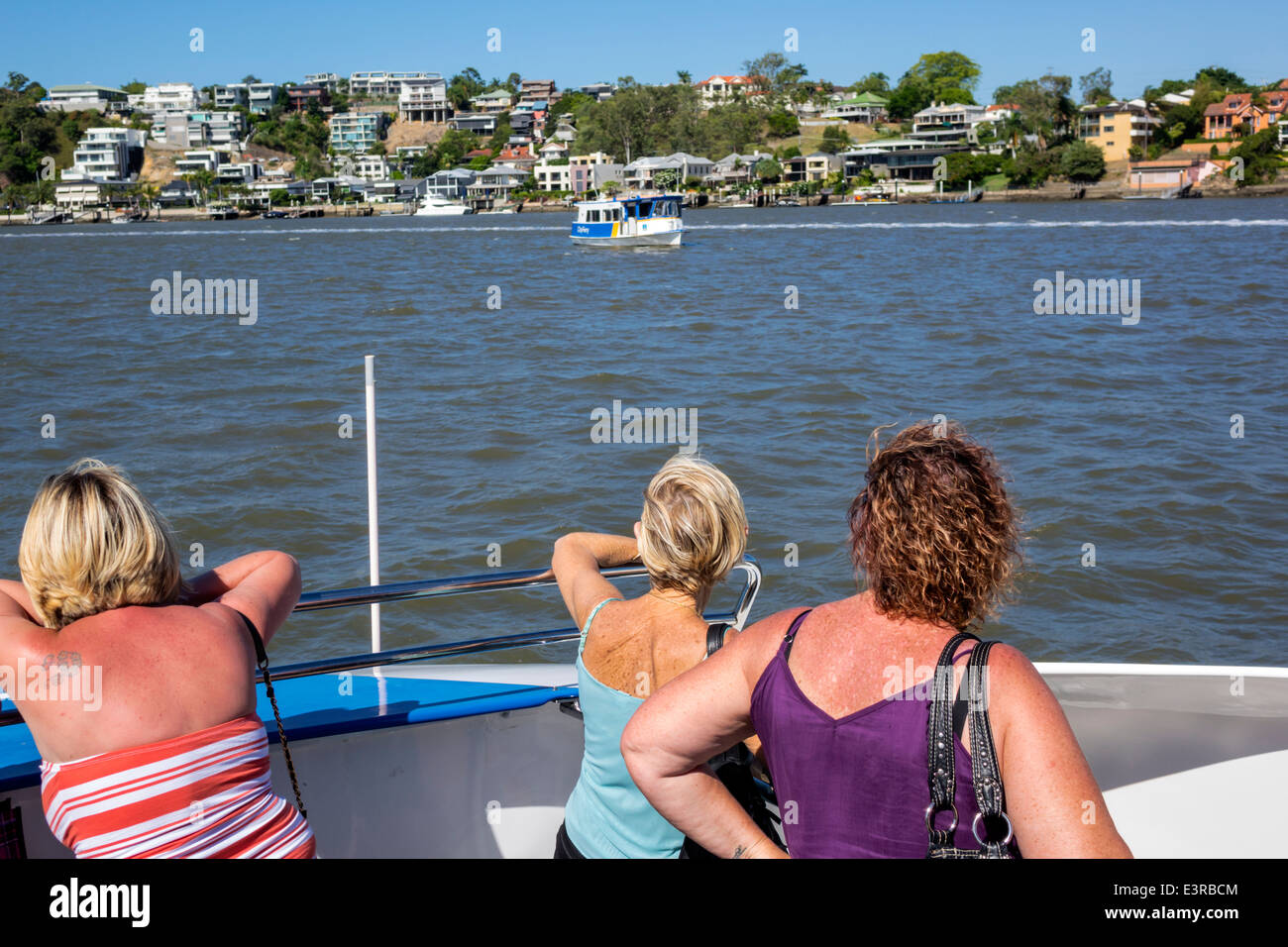 Brisbane Australia,Queensland Brisbane River water,East Brisbane,Norman Park,waterfront