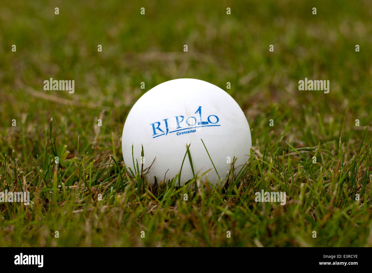 grass balls on polo stock and images - Alamy