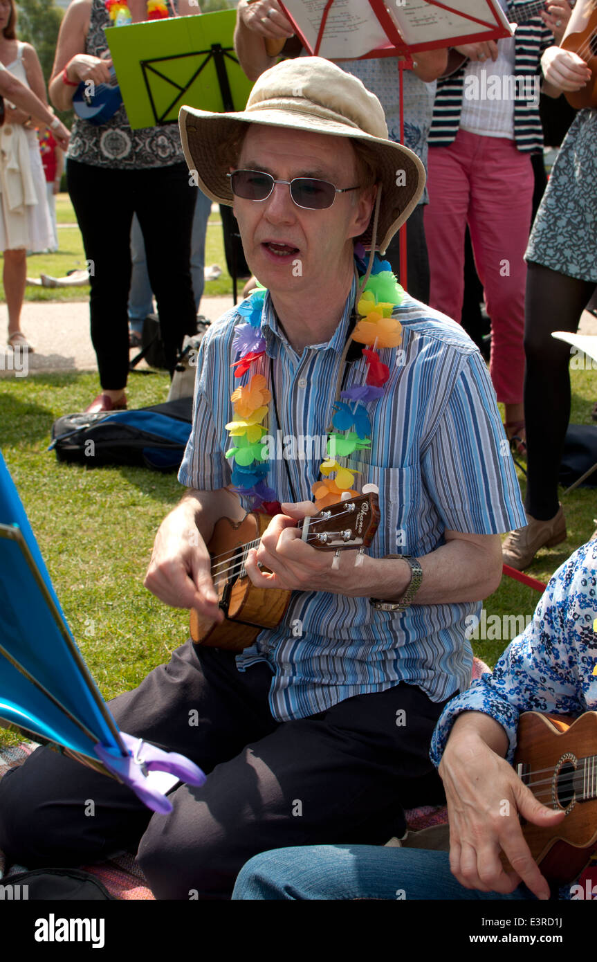 2014 Ukulele Festival of Great Britain, Cheltenham Spa, UK Stock Photo