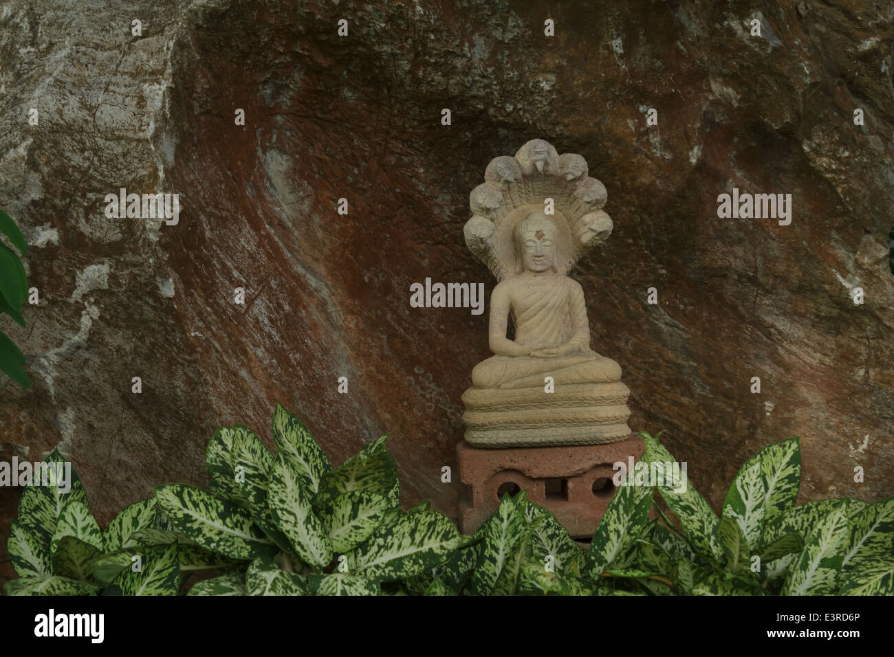 Buddha statues in the garden Stock Photo Alamy