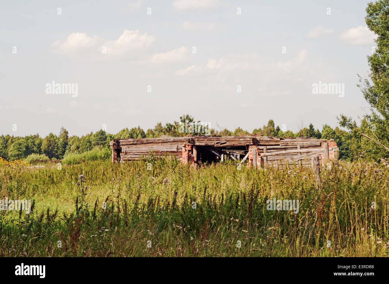 landscape with the old destroyed farm Stock Photo