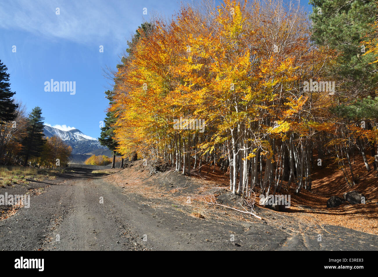 Volcano Etna, Etna Park, Etna North, Linguaglossa, Catania, Sicily, Italy, Europe Stock Photo