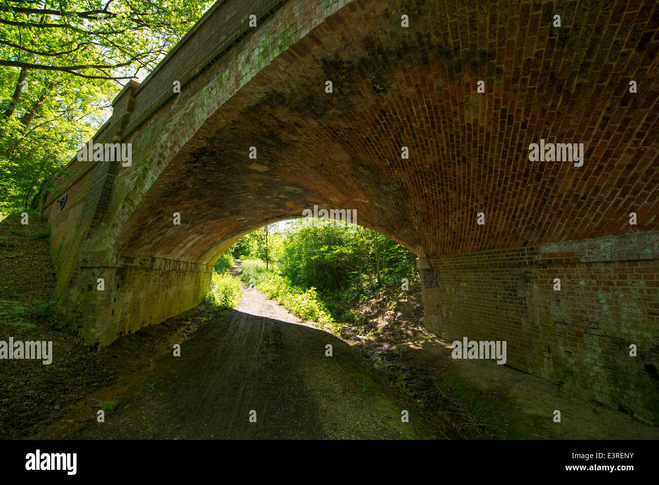 Old brick railway bridge over the Downs Link Trail with dappled ...