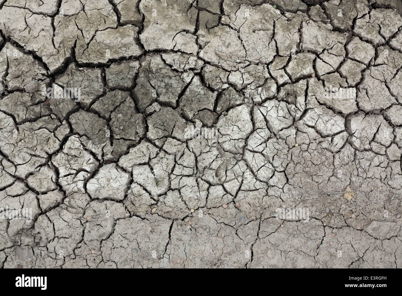 cracked ground - dry season Stock Photo