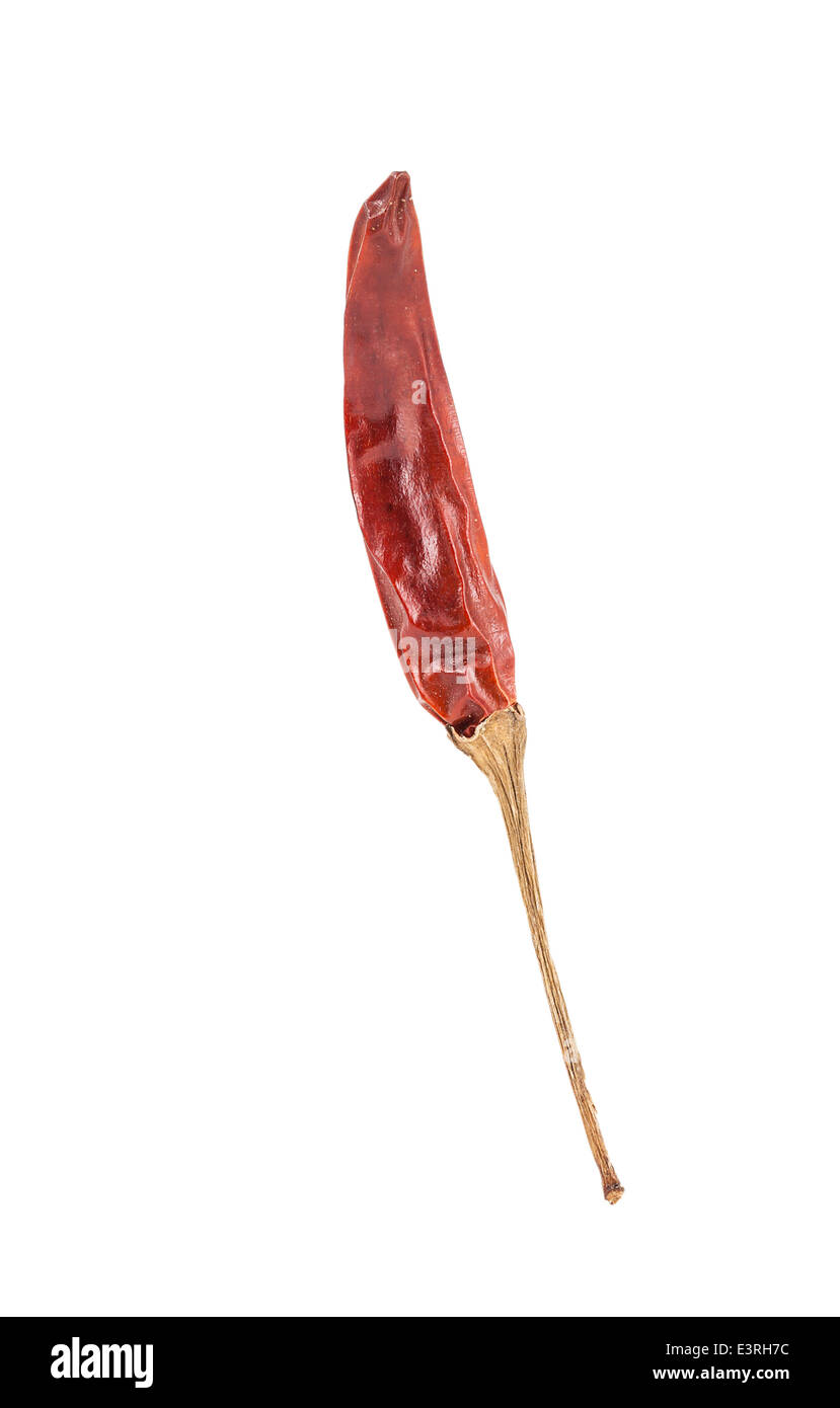 Close up of dried red chilli isolated on white background with clipping ...