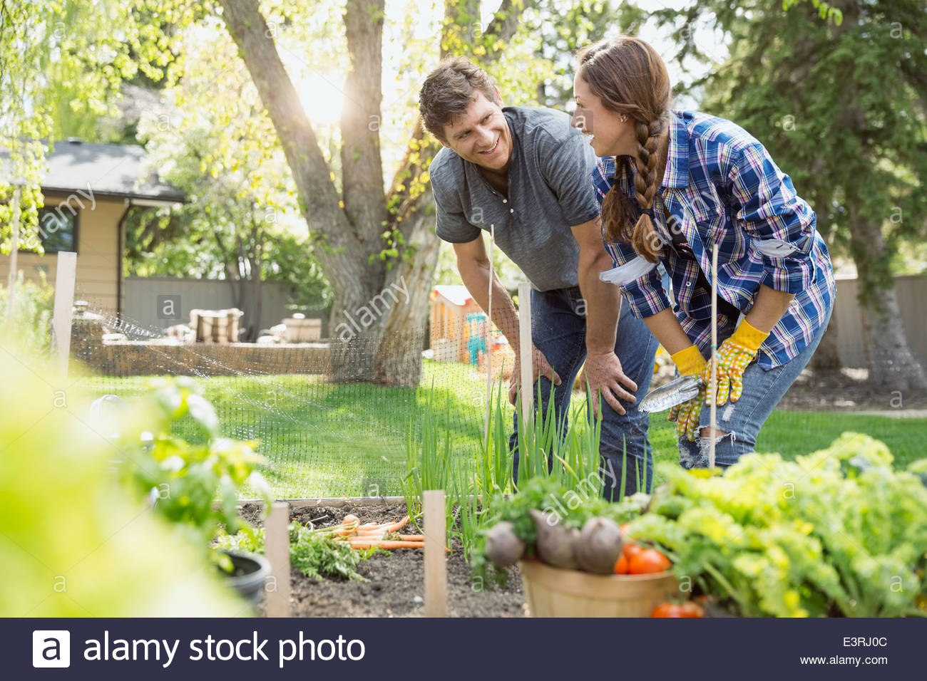 Smiling couple in vegetable garden Stock Photo - Alamy